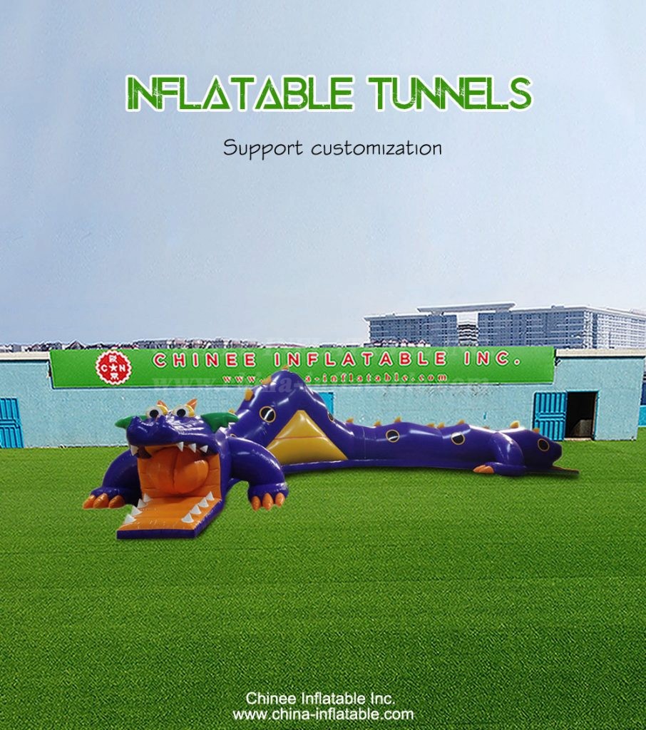 T11-3221-1 - Chinee Inflatable Inc.