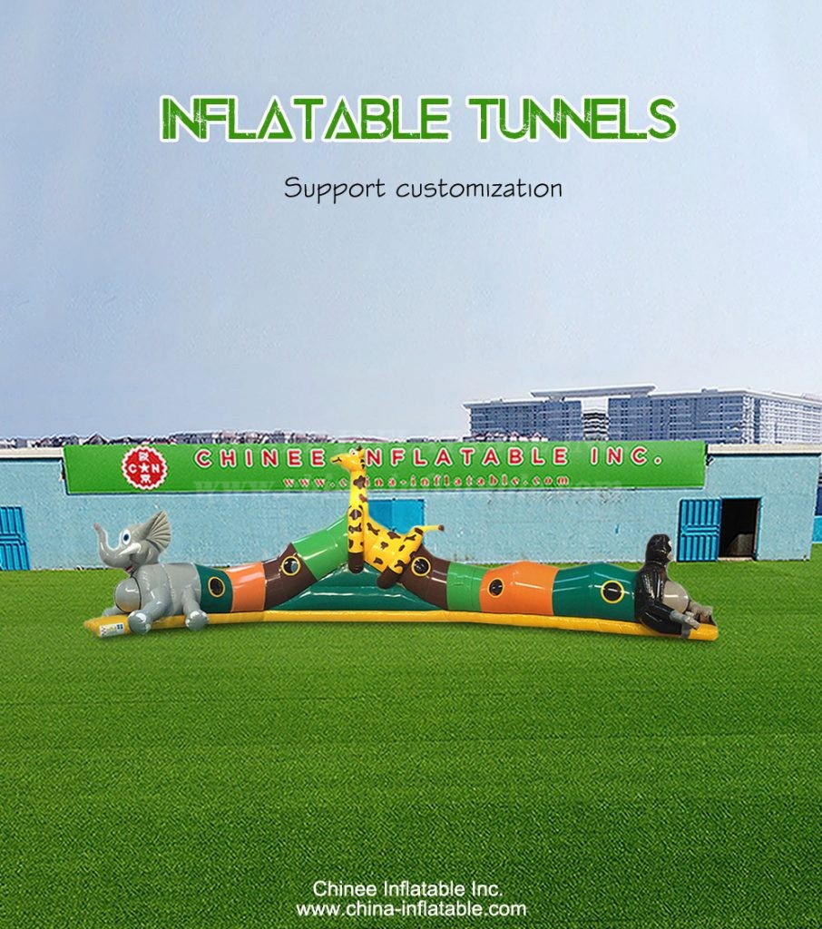 T11-3223-1 - Chinee Inflatable Inc.