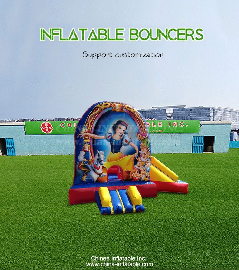 T2-4388-1 - Chinee Inflatable Inc.