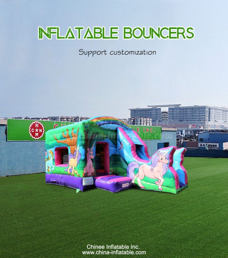 T2-4417-1 - Chinee Inflatable Inc.