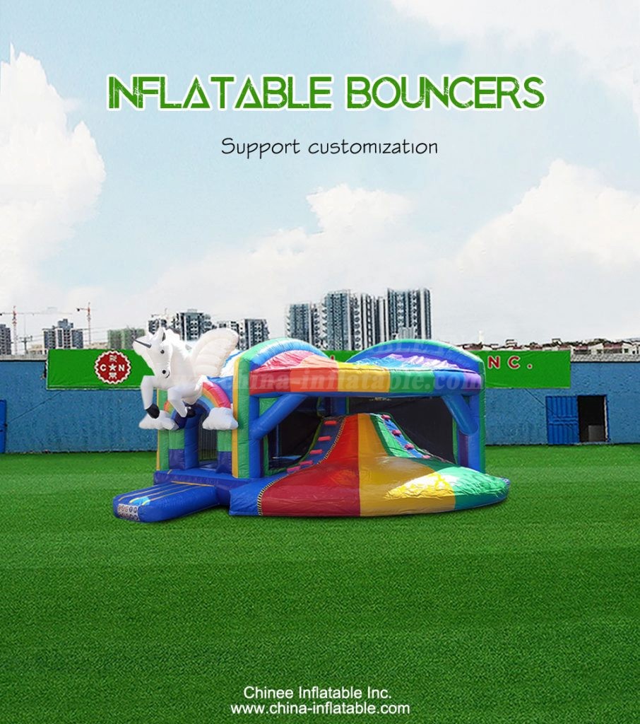 T2-4419-1 - Chinee Inflatable Inc.