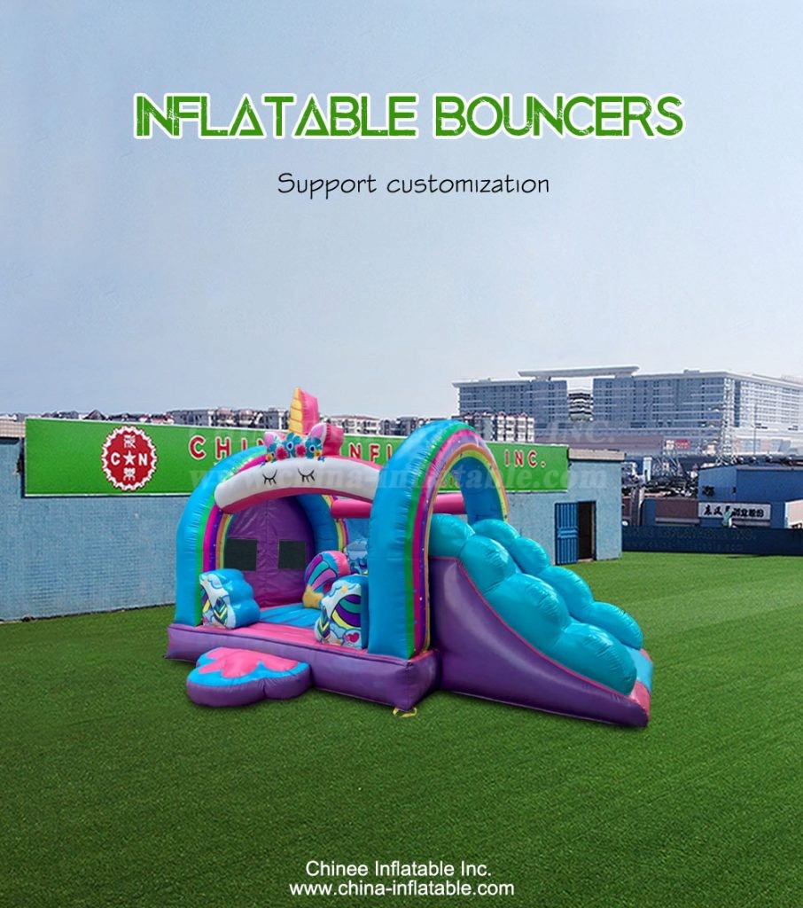 T2-4424-1 - Chinee Inflatable Inc.