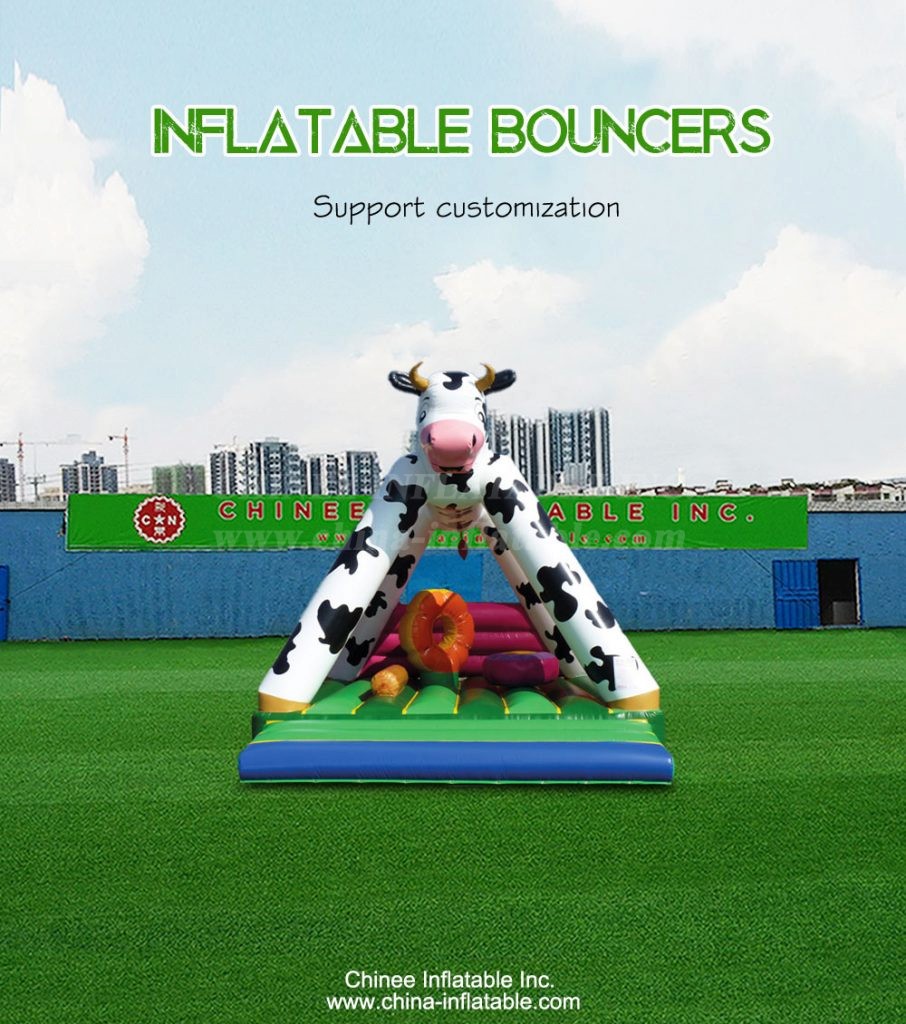 T2-4425-1 - Chinee Inflatable Inc.