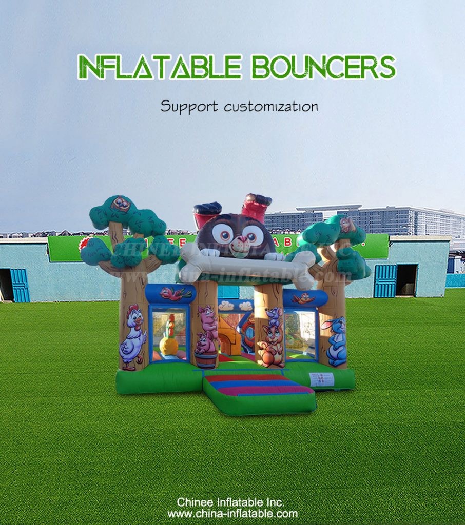 T2-4432-1 - Chinee Inflatable Inc.