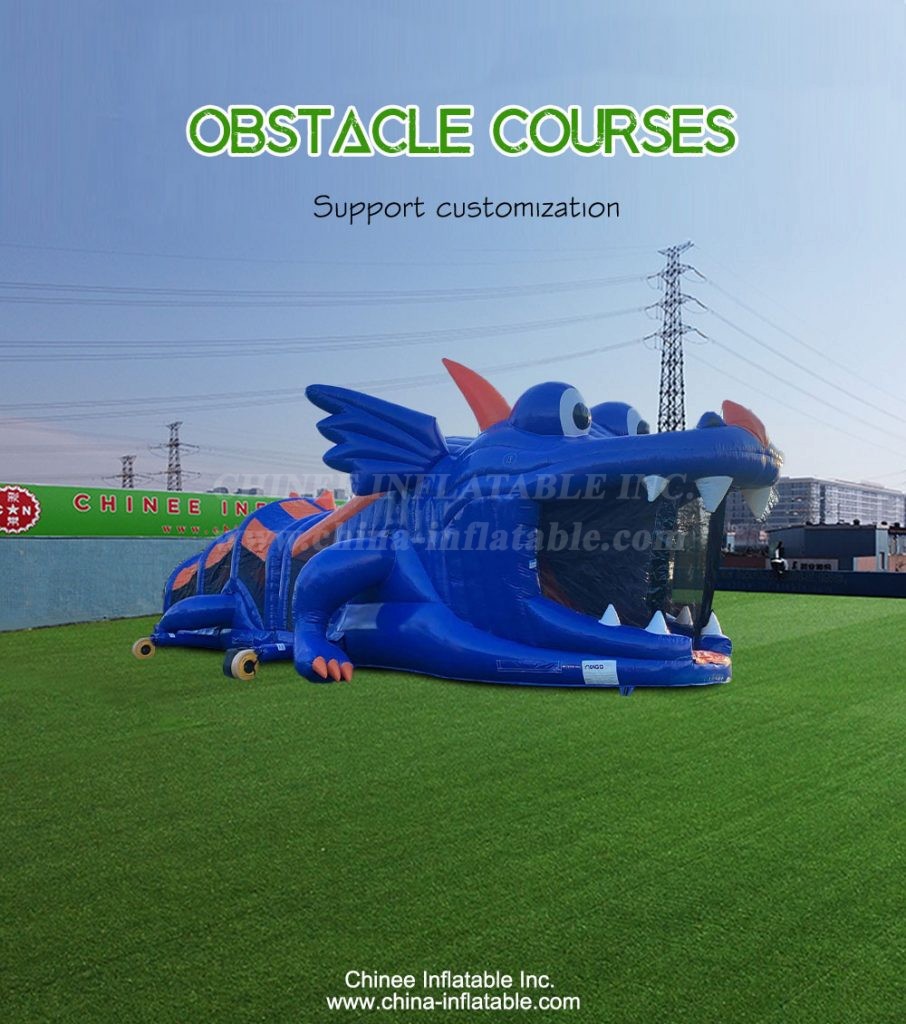 T7-1455-1 - Chinee Inflatable Inc.