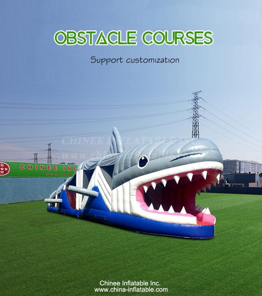 T7-1516-1 - Chinee Inflatable Inc.