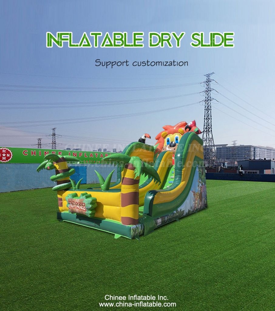 T8-4170-1 - Chinee Inflatable Inc.