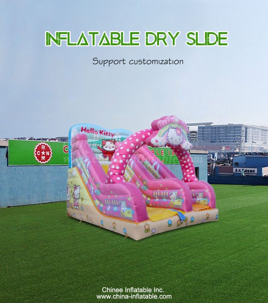 T8-4196-1 - Chinee Inflatable Inc.