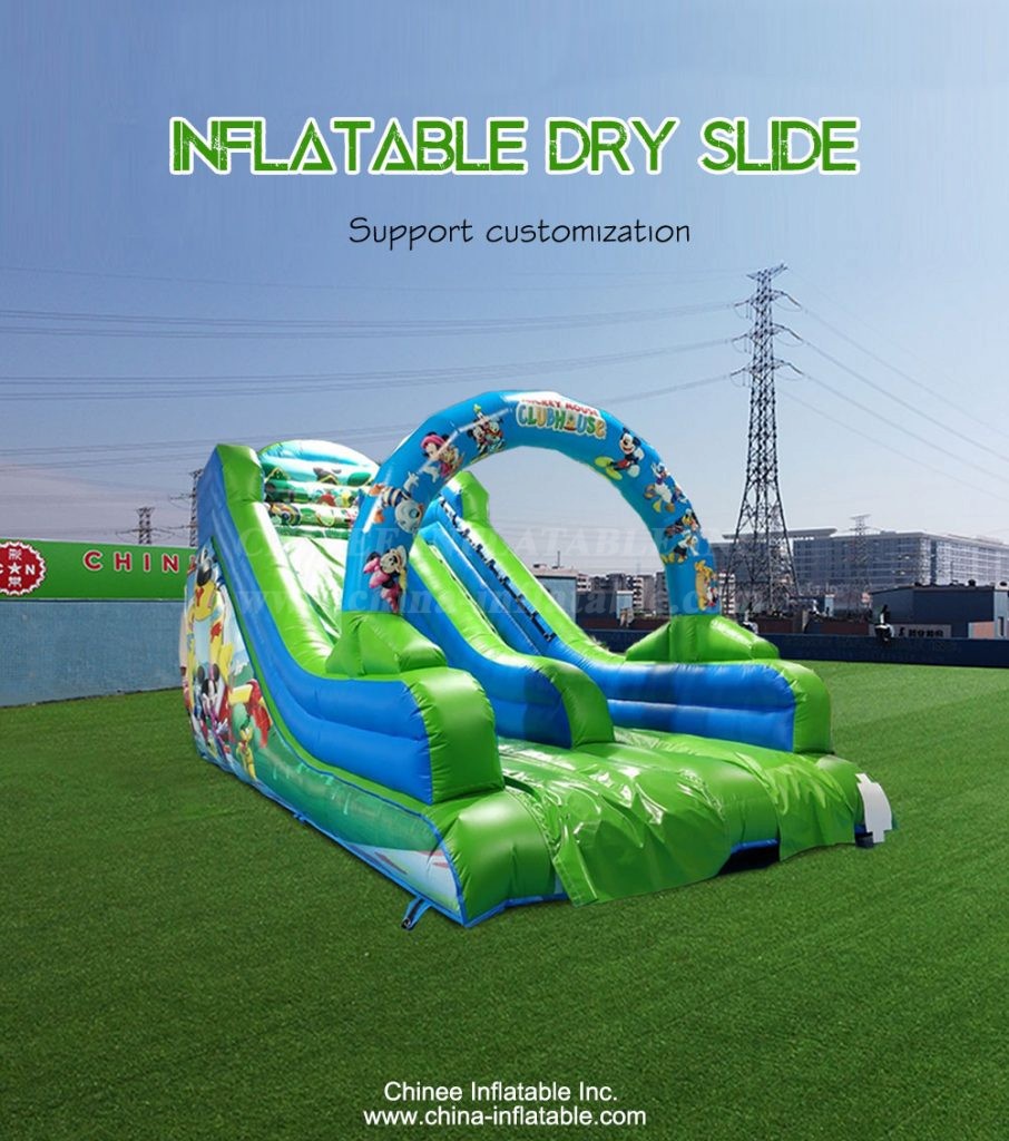 T8-4204-1 - Chinee Inflatable Inc.