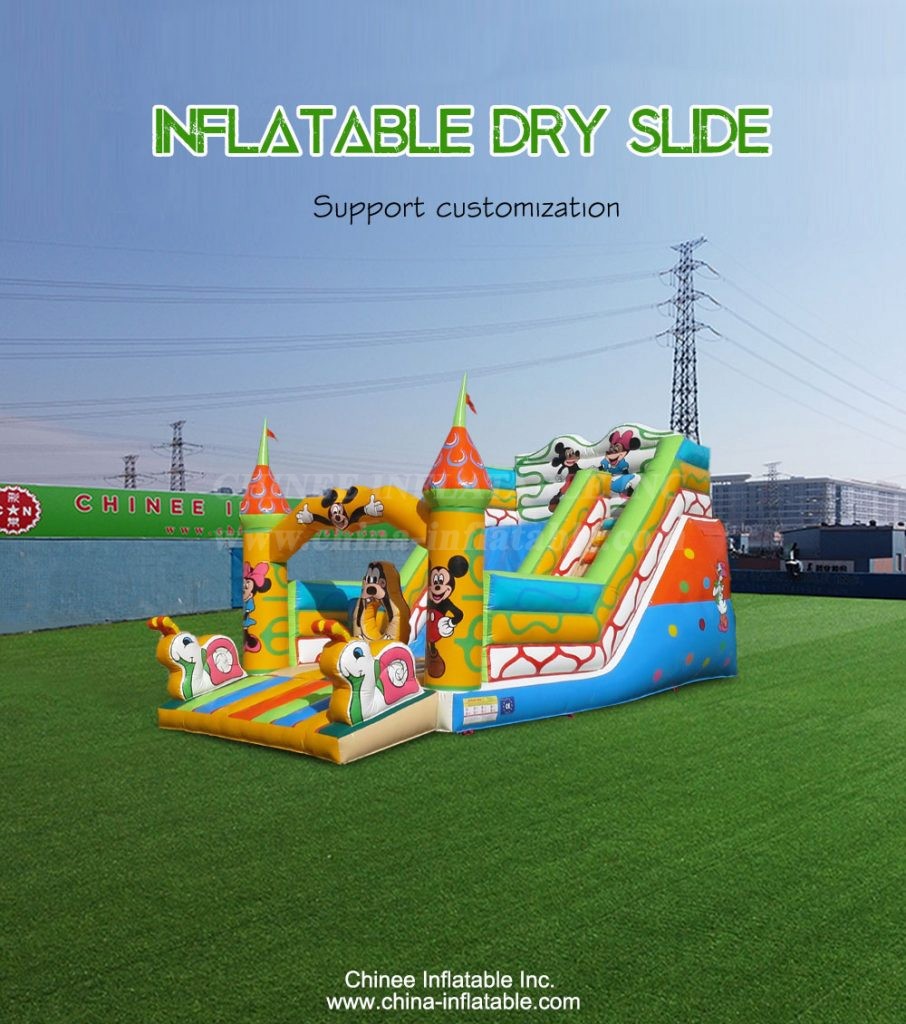 T8-4207-1 - Chinee Inflatable Inc.