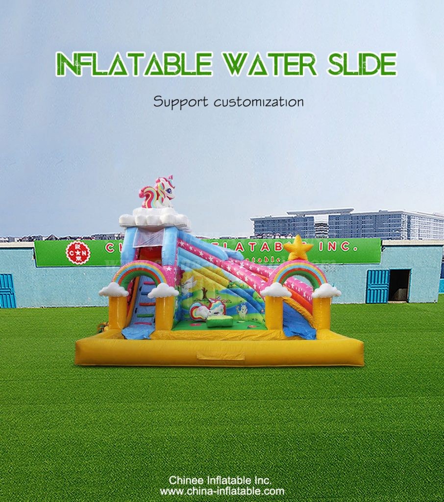 T8-4231-1 - Chinee Inflatable Inc.
