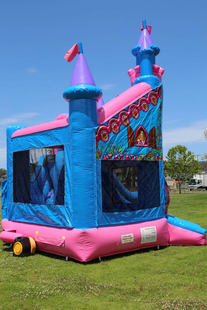 T2-4619 Disney Princess Jumping Castle With Slide