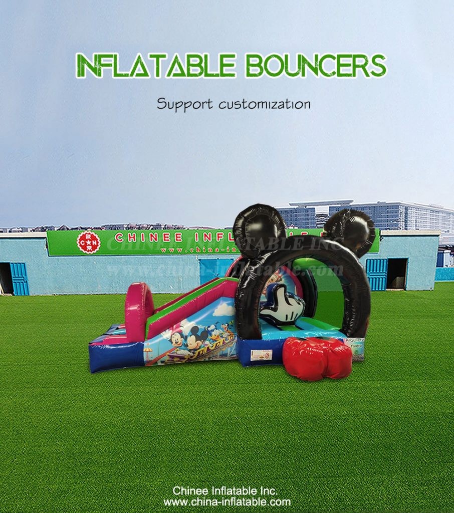 T2-4537-1 - Chinee Inflatable Inc.