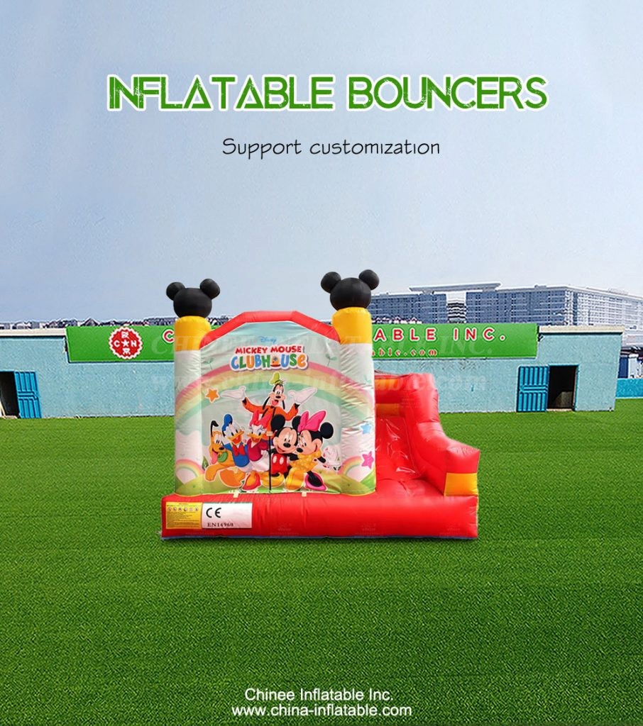 T2-4541-1 - Chinee Inflatable Inc.