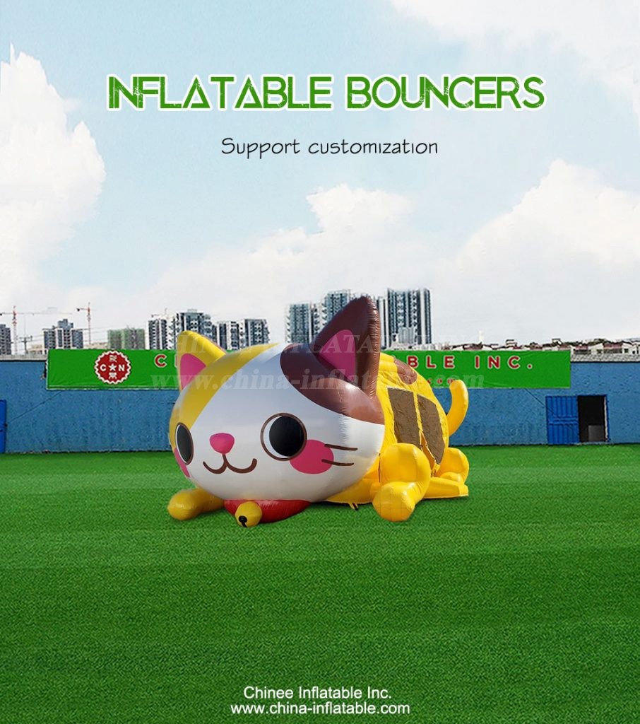 T2-4690-1 - Chinee Inflatable Inc.