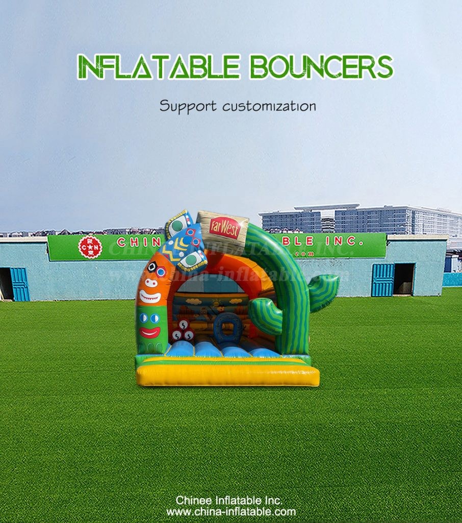 T2-4719-1 - Chinee Inflatable Inc.