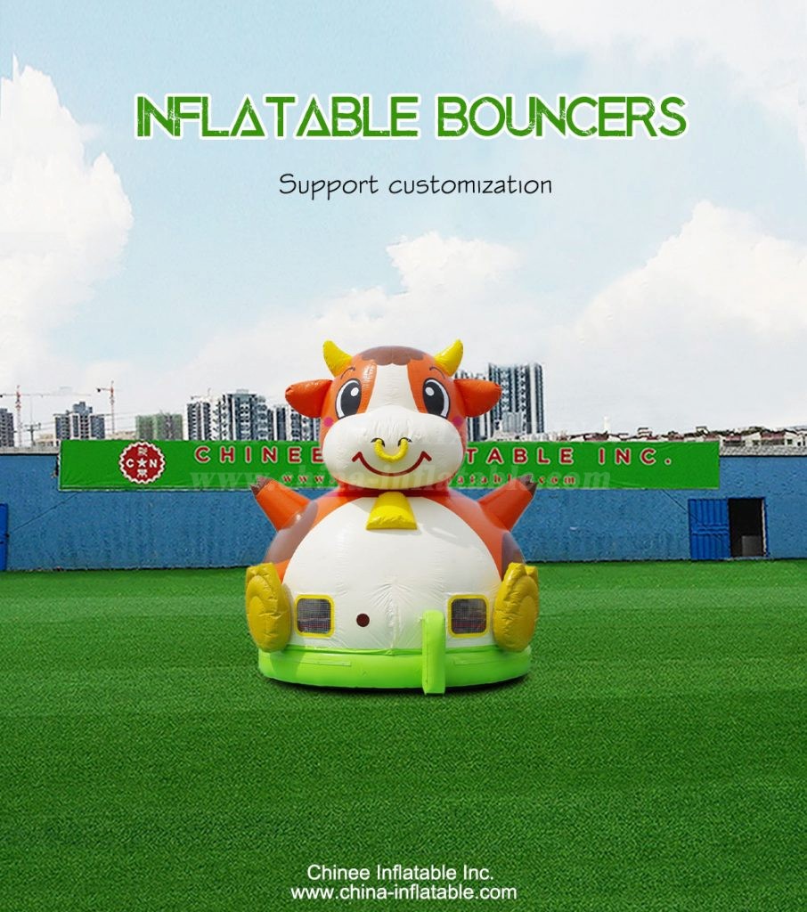T2-4784-1 - Chinee Inflatable Inc.