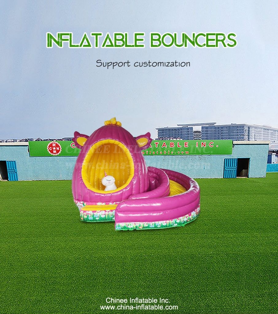 T2-4793-1 - Chinee Inflatable Inc.