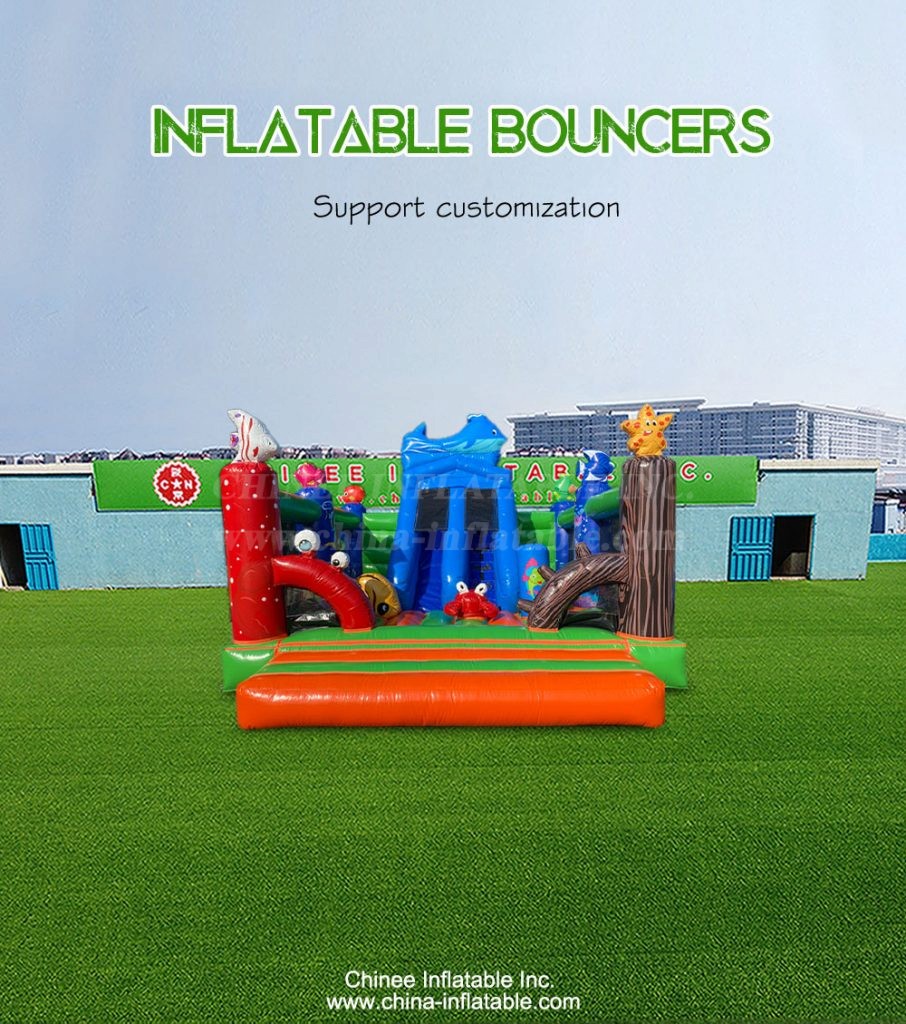 T2-4803-1 - Chinee Inflatable Inc.