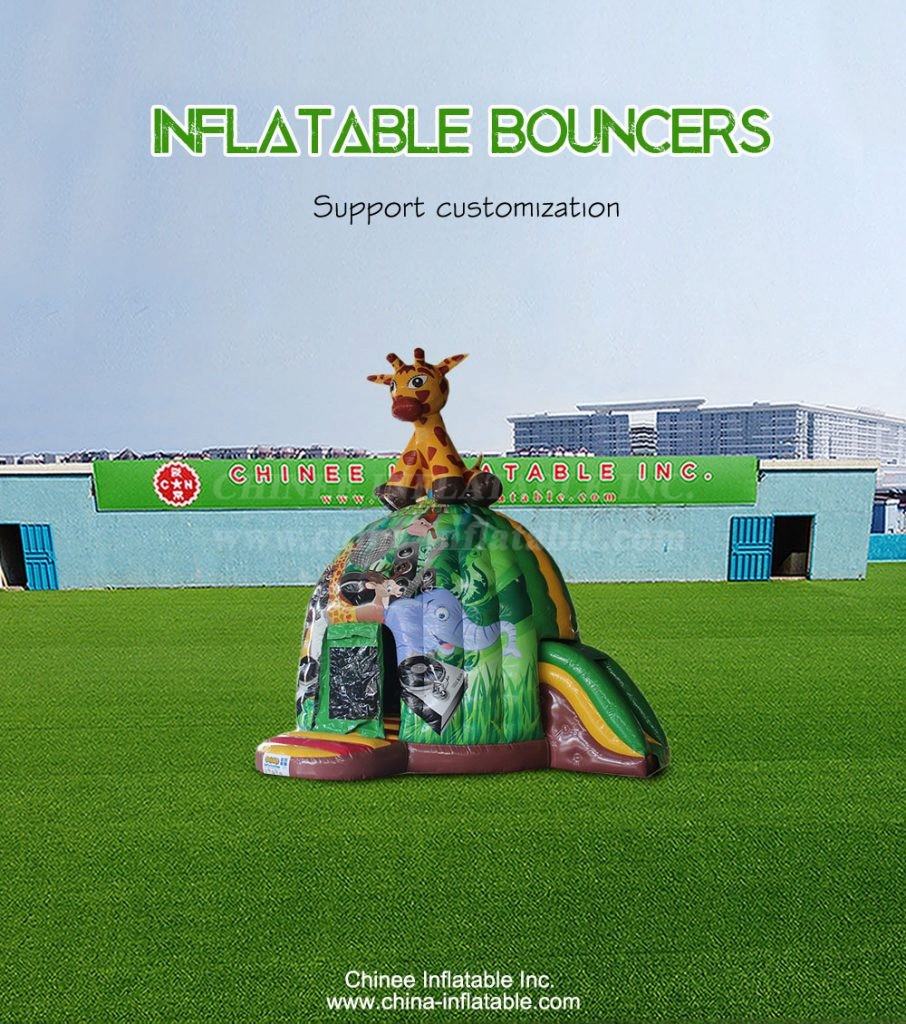 T2-4848-1 - Chinee Inflatable Inc.