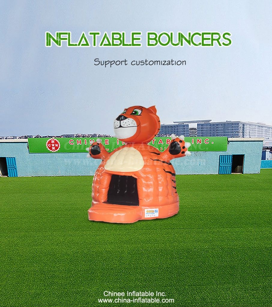 T2-4850-1 - Chinee Inflatable Inc.