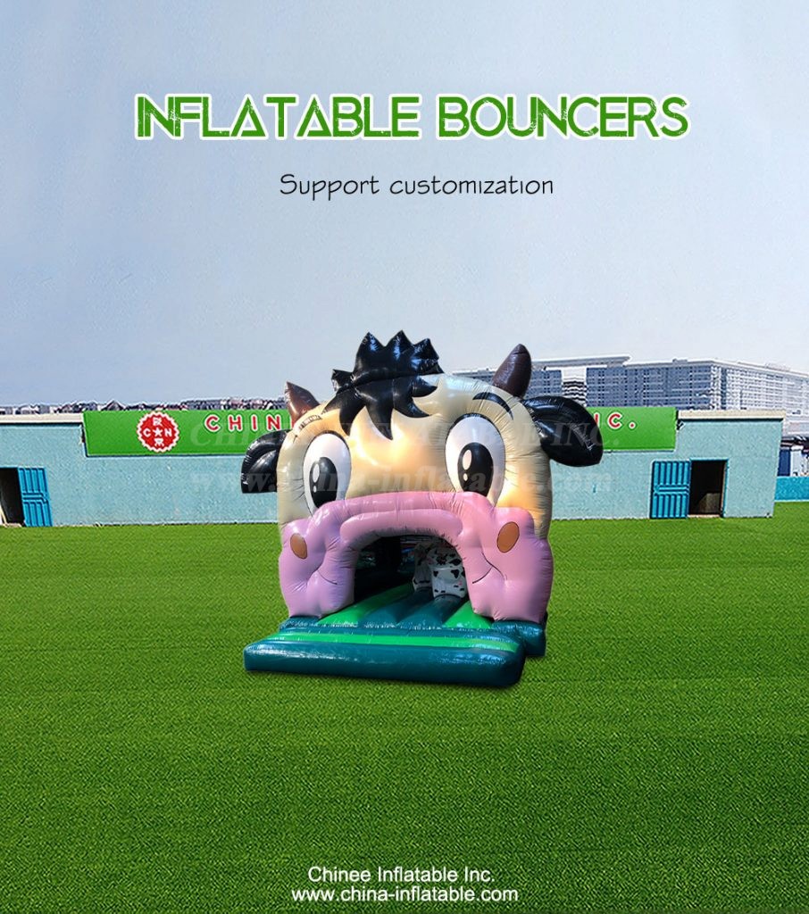 T2-4859-1 - Chinee Inflatable Inc.