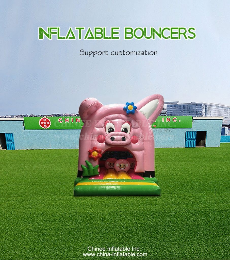 T2-4865-1 - Chinee Inflatable Inc.