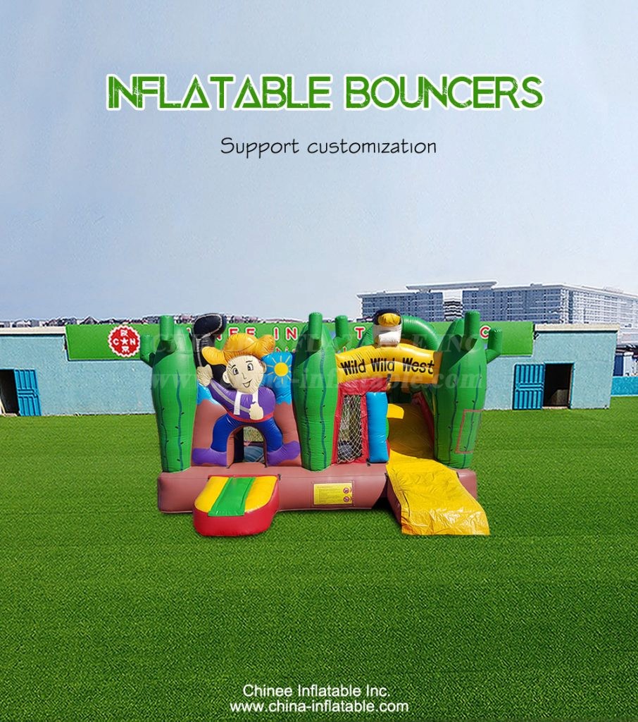 T2-4901-1 - Chinee Inflatable Inc.