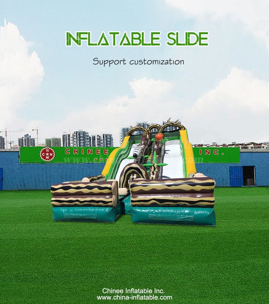 T8-4258-1 - Chinee Inflatable Inc.