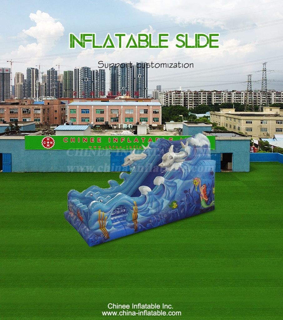 T8-4289-1 - Chinee Inflatable Inc.