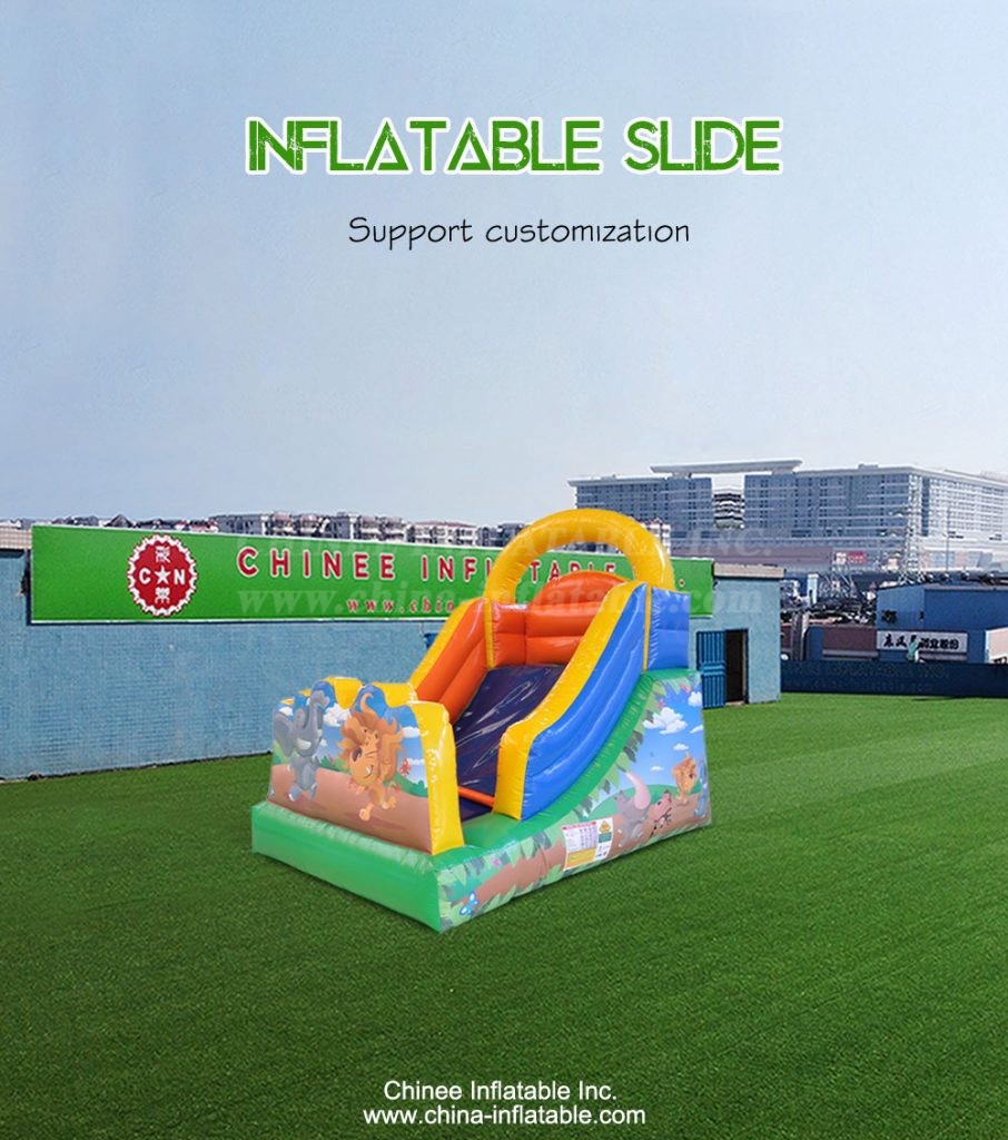 T8-4303-1 - Chinee Inflatable Inc.