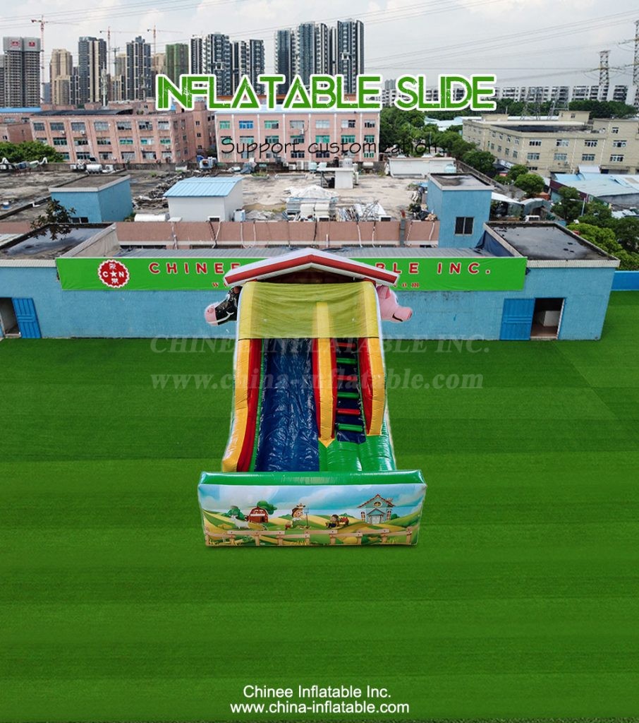 T8-4307-1 - Chinee Inflatable Inc.