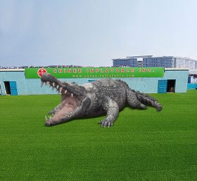 S4-539 Opblaasbare krokodil